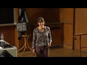 Conférence | L’activité solaire et les relations soleil-terre