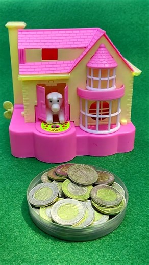 Amazing Cat Bank House Review 😍 | Testing It for the First Time – Don’t Miss!(AC-2896)#shorts#viral