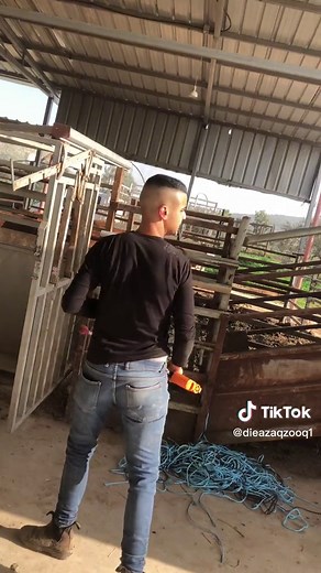 Cleaning and Maintaining a Multi-Tiered Livestock Trailer