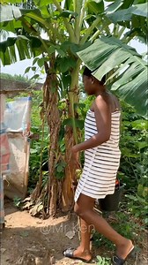 1M views · 6.6K reactions | My neighbor needs help | Mr Ken | Facebook