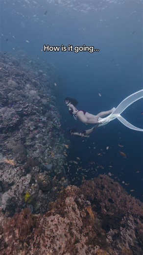 My Year of Freediving: Journey to Deeper Depths