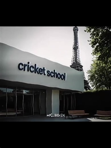 Cricket School Management Tips for Success