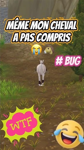 🔥🤣Deux bugs SSO… c’est du grand n’importe quoi #horse #sso #bug #fail #techfail #wtf #funnytech