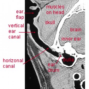 12 reactions | Have you read our February blog article on...