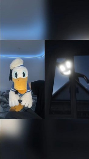 Donald Ducc Doesn’t Like The Cat
