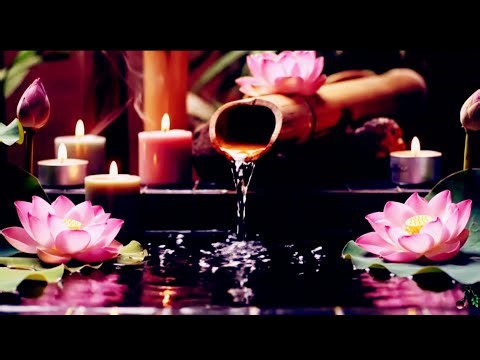 Bamboo Water Fountain Healing 24/7 | Relaxing Music with Nature Sounds – Bamboo Water Fountain