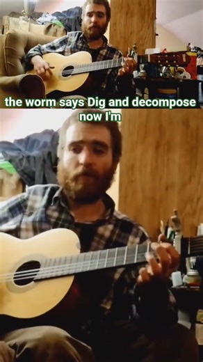 The Worm Says - original song #music #acousticguitar #guitar