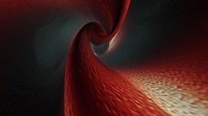 Abstract Colorful Fluid Shape Element Motion Background