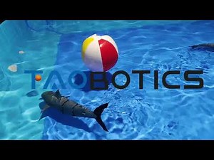 An underwater biomimetic robotic fish developed by Chao Wendao