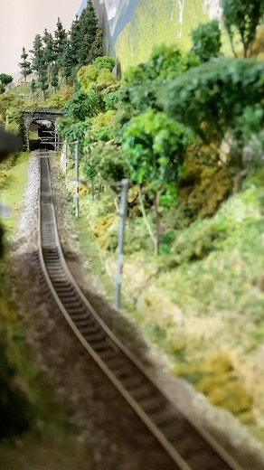 #miniature #miniatur #miniatureart #modeltrains #modeltrain #modelrailway #modelrailways #modelrailroader #modelleisenbahn #eisenbahnbilder #railmodel #ferromodelismo #fantasy #diy #hobby #terrain #modellismo #scalemodel#diorama #modellbahn #modelbau #modelbuilding #doityourself #asi_es_vehiculos #artistoninstagram #art #nikoncoolpixb700n | Ahmet Mahir Erdem