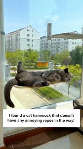 The PERFECT hammock for your 🐱 Comment “Hammock” and I’ll DM the 🔗 to you instantly! Or simply search Foldable Window Hammock on our site ✨ | Cuddles & Meow