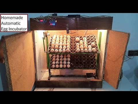 How to make Full Automatic Egg Incubator at home | Homemade Automatic egg incubator | Egg-Hatching