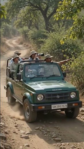 Ranthambore National Park 🐅 | Best Place to See Bengal Tigers | Rajasthan Wildlife |Incredible India