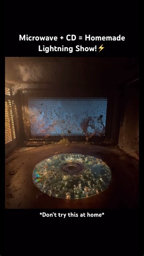 Microwave + CD = Homemade Lightning Show!⚡️#donttrythisathome #microwave #lightningshow #epicshots