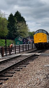Double Header class 37 locomotives. Both operated by the Heavy Tractor Group based at the Great Central Railway. #trains #diesellocomotive #britishrailways #railways #trainspotting #heritagerailway #class37 | Adrian Watson
