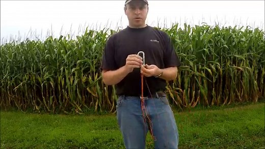 What is One Ear of Corn Worth? - The Farmer's Life