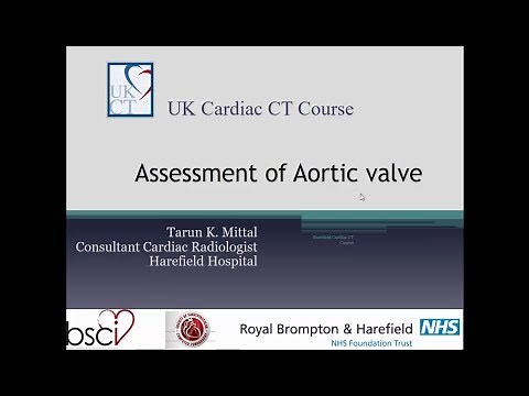 CT in Aortic Valve and TAVI