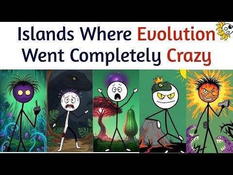 Islands Where Evolution Went Completely Crazy