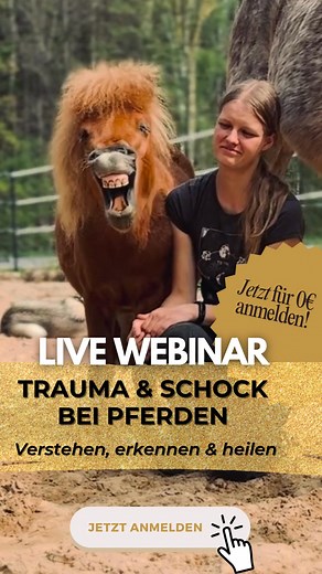 37 reactions |  Was, wenn Trauma kein mentales Problem ist -sondern...