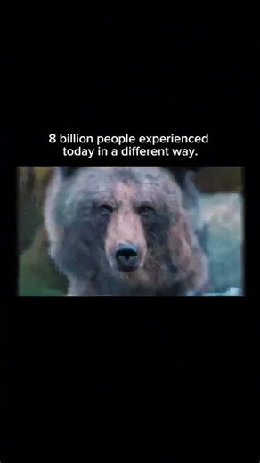 Why Feeding Frogs Requires Caution: A Wild Leap Toward the Camera