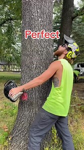 105K views · 943 reactions | #logger #logging #chainsaw #arborist #stihl #treework #treelife #treecutting #loggers #stihlchainsaw #husqvarna #arblife #treecare #loggerlife #treesurgeon #forestry #treefelling #arboristlife #treeclimber | Logger Pro | Facebook