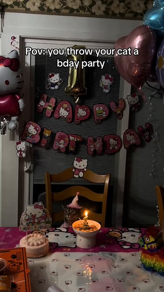 Throwing a Memorable Birthday Party for Your Cat