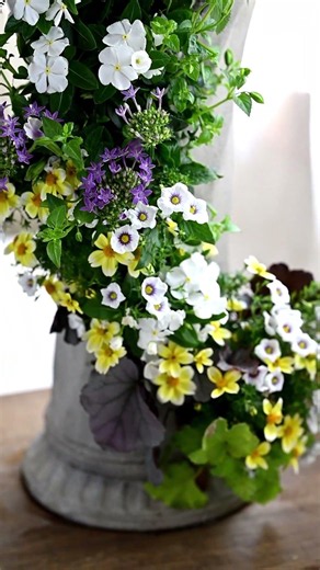 秋色紫陽花と夏小花のスリット鉢寄せ植えギャザリング