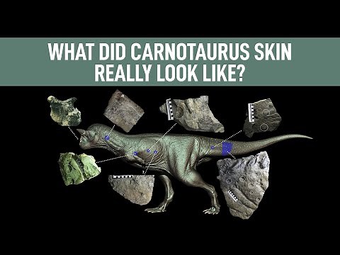 What did Carnotaurus Skin Really Look Like?