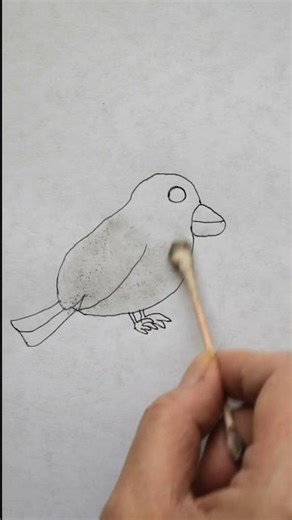 How To Draw A Cute Java finch (Step-by-Step Visual Tutorial) #shorts