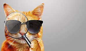 Adobe Stock Tips - キーワード検索