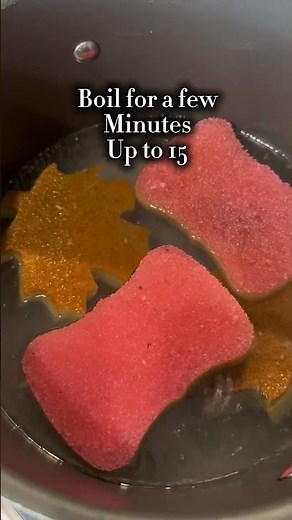 How to Get Rid of Sponge Smell | Clean, Deodorize & Disinfect