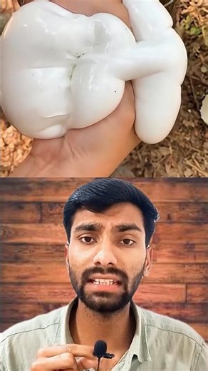 Latex Mattress Worlds Softest Mattress