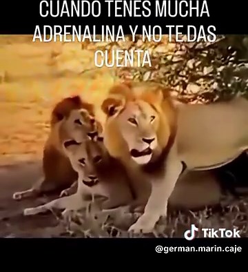 Videos de German Marin Cajero (@german.marin.caje) con “sonido original - German Marin Cajero”