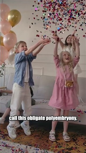 These Armadillo Babies Are Natural Clones