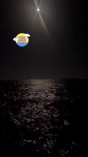 Tampa Bay, located on Florida's Gulf Coast, is a vibrant and diverse destination known for its beautiful beaches, rich cultural scene, and exciting sports events. Explore the unique blend of history and modernity, and enjoy the coastal charm that Tampa Bay has to offer. #TampaBay #FloridaLife #SunshineStateBeauty | Ma R Meye