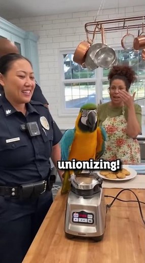 Why Is The Blander Yelling I Quit Parrot Replies To Cops Very Funny: #parrot #birds #funny #fyp