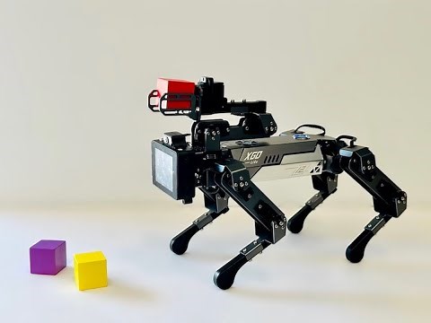 Review : CM4 XGO Robot Dog Kit For Raspberry Pi