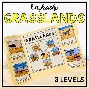 Science Habitat Lapbook | Special Education