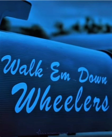 Exploring the Wheelers in Stranger Things