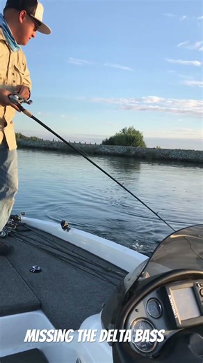 Can’t wait for the frog bites