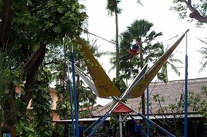 Bungee trampoline - Alchetron, The Free Social Encyclopedia