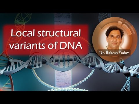 Local structural variants of DNA