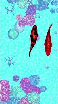 CAT GAMES ON SCREEN 🐟 Different Fast Fish for Cats to Watch | Videos for Cats