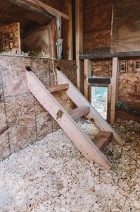 DIY Hinged Chicken Ladder Roost