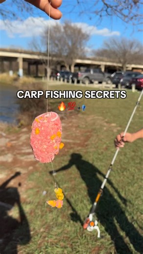 Ono Oti | Carp fishing secrets 🔥💯🎣 #carpfishing #fisherman #fishingtips #gratefulfishingtv | Instagram