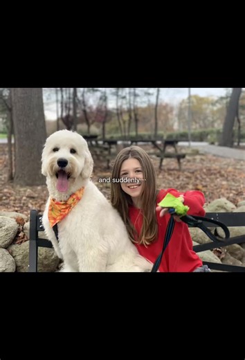 whosasher2 (@whosasher2)’s videos with original sound - whosasher2