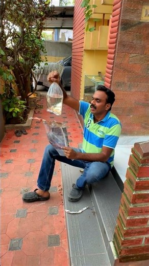 Bought New Molly 🙋🏻‍♂️🙋🏻‍♂️