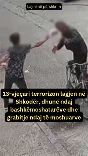 13-vjeçari terrorizon lagjen në Shkodër, dhunë ndaj bashkëmoshatarëve dhe grabitje ndaj të moshuarve