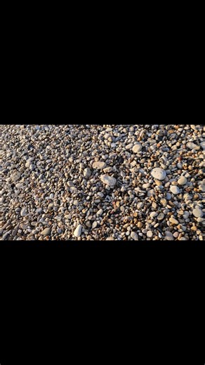 20K views · 491 reactions |  Sunrise Sea Glass Hunt in Seaham  | LC's Glass | Facebook