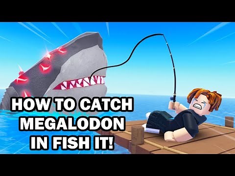 How To Get Megalodon Fish It Roblox